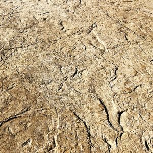 Hadley Creek Texture with Colored Concrete